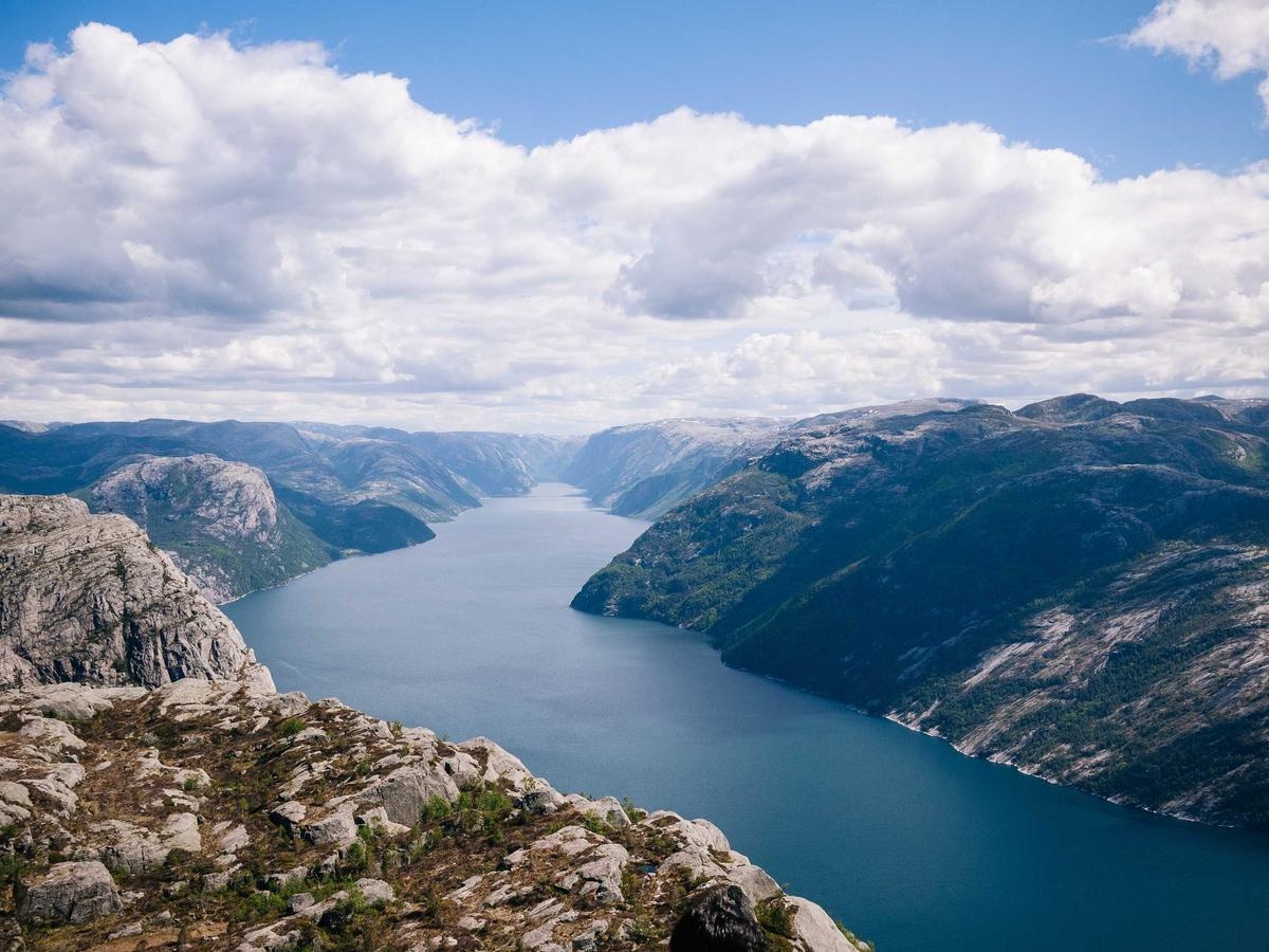 Banner Görseli